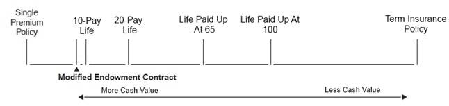 term and whole life insurance